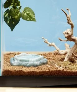 Zoo Med Repti Rock Reptile Rock Food & Water Dishes -Zoo Med Sale 127788 PT2. SY630 V1531865237