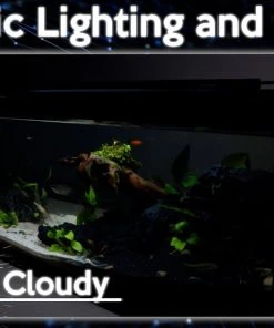 Zoo Med AquaEffects Model 2 LED Aquarium Light 10 Zoo Med AquaEffects Model 2 LED Aquarium Light -Zoo Med Sale 286869 PT2. SY630 V1620690761