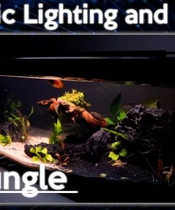 Zoo Med AquaEffects Model 2 LED Aquarium Light 11 Zoo Med AquaEffects Model 2 LED Aquarium Light -Zoo Med Sale 286869 PT3. SY630 V1620688043