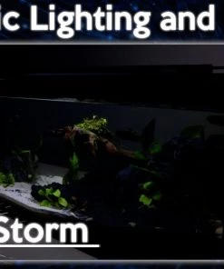 Zoo Med AquaEffects Model 2 LED Aquarium Light 14 Zoo Med AquaEffects Model 2 LED Aquarium Light -Zoo Med Sale 286869 PT6. SY630 V1620700683