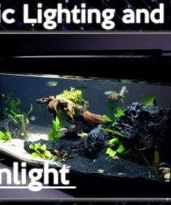 Zoo Med AquaEffects Model 2 LED Aquarium Light 15 Zoo Med AquaEffects Model 2 LED Aquarium Light -Zoo Med Sale 286869 PT7. SY630 V1620699174