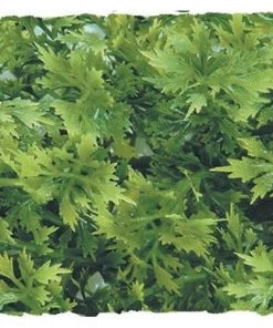 Zoo Med Australian Maple Artificial Plant