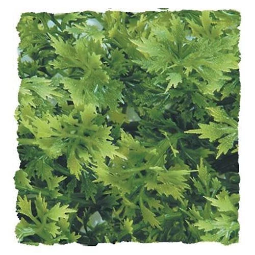 Zoo Med Australian Maple Artificial Plant 1 Zoo Med Australian Maple Artificial Plant