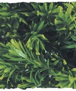 Zoo Med Borneo Star Artificial Plant