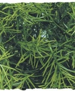 Zoo Med Cashuarina Artificial Plant