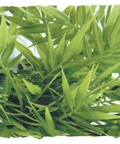 Zoo Med Madagascar Bamboo Artificial Plant