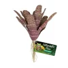 Zoo Med Naturalistic Flora Chestnut Bromeliad Artificial Plant