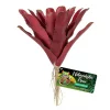 Zoo Med Naturalistic Flora Fireball Bromeliad Artificial Plant