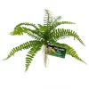 Zoo Med Naturalistic Flora Sword Fern Artificial Plant
