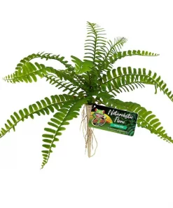 Zoo Med Naturalistic Flora Sword Fern Artificial Plant