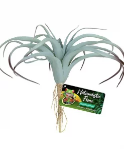 Zoo Med Naturalistic Flora Tillandsia Air Artificial Plant