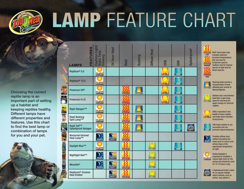 Zoo Med Repti Basking Spot Reptile Lamp, 250W 2 Zoo Med Repti Basking Spot Reptile Lamp, 250W - Image 2