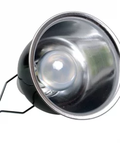 Zoo Med Desert Lighting Combo Pack