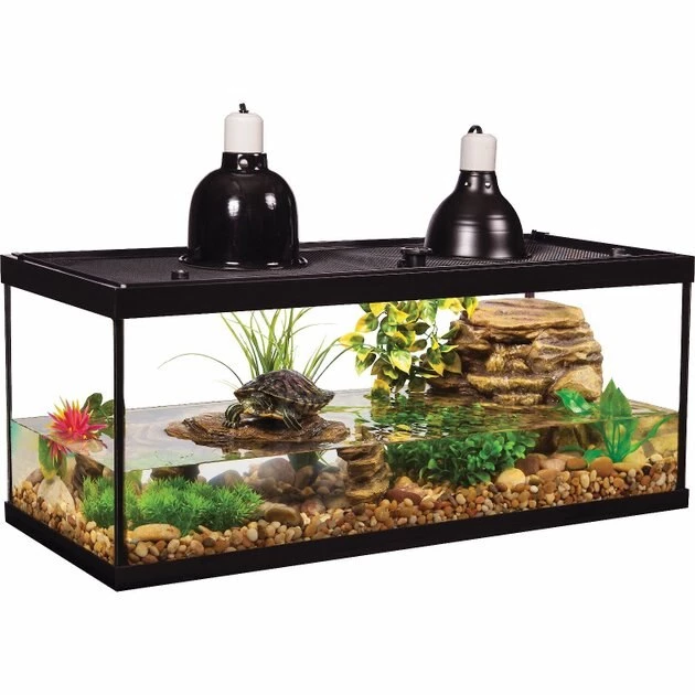 Tetrafauna||Zoo Med||Exotic Pebbles Reptile Starter Kit - Tetrafauna Aquatic Turtle Deluxe Aquarium Kit, 20-gal + 2 other items 2 Tetrafauna||Zoo Med||Exotic Pebbles Reptile Starter Kit - Tetrafauna Aquatic Turtle Deluxe Aquarium Kit, 20-gal + 2 other items - Image 2