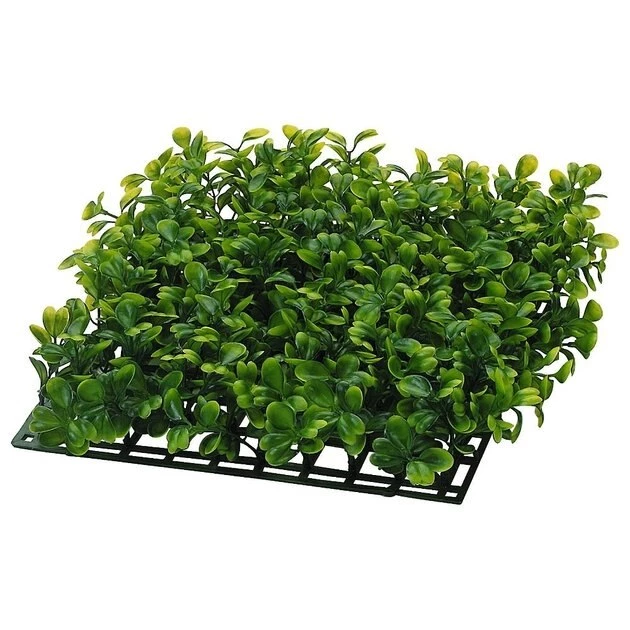 Tetrafauna||Zoo Med||Exotic Pebbles Reptile Starter Kit - Tetrafauna Aquatic Turtle Deluxe Aquarium Kit, 20-gal + 2 other items 6 Tetrafauna||Zoo Med||Exotic Pebbles Reptile Starter Kit - Tetrafauna Aquatic Turtle Deluxe Aquarium Kit, 20-gal + 2 other items - Image 6