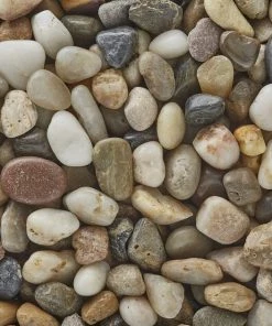 Tetrafauna||Zoo Med||Exotic Pebbles Reptile Starter Kit - Tetrafauna Aquatic Turtle Deluxe Aquarium Kit, 20-gal + 2 other items 17 Tetrafauna||Zoo Med||Exotic Pebbles Reptile Starter Kit - Tetrafauna Aquatic Turtle Deluxe Aquarium Kit, 20-gal + 2 other items -Zoo Med Sale 538934 PT8. SY630 V1652650917