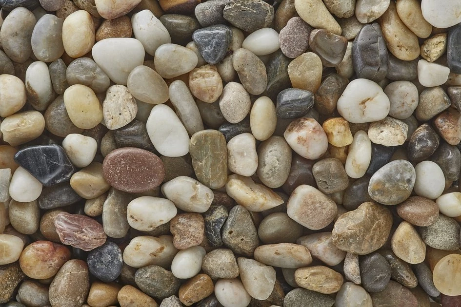 Tetrafauna||Zoo Med||Exotic Pebbles Reptile Starter Kit - Tetrafauna Aquatic Turtle Deluxe Aquarium Kit, 20-gal + 2 other items 9 Tetrafauna||Zoo Med||Exotic Pebbles Reptile Starter Kit - Tetrafauna Aquatic Turtle Deluxe Aquarium Kit, 20-gal + 2 other items - Image 9