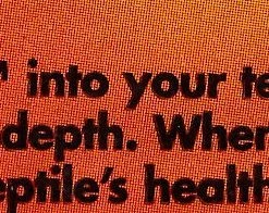 Zoo Med Premium Repti Bark Natural Fir Reptile Bedding 10 Zoo Med Premium Repti Bark Natural Fir Reptile Bedding -Zoo Med Sale 96215 PT4. SY630 V1506969315