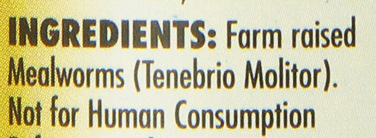 Zoo Med Can O' Worms Mealworms 3 Zoo Med Can O' Worms Mealworms - Image 3