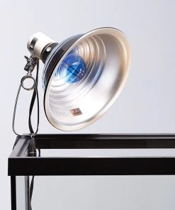 Zoo Med Daylight Blue & Nightlight Red Reptile Lamp -Zoo Med Sale 99022 PT4. SY630 V1527791640