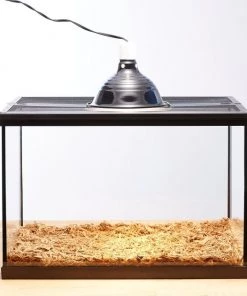 Zoo Med Daylight Blue & Nightlight Red Reptile Lamp -Zoo Med Sale 99022 PT5. SY630 V1527791575