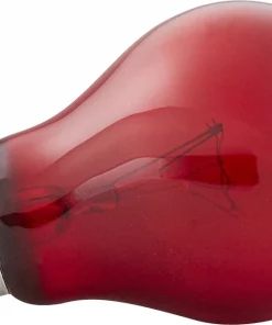 Zoo Med Daylight Blue & Nightlight Red Reptile Lamp -Zoo Med Sale 99022 PT6. SY630 V1527791578