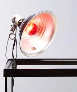 Zoo Med Daylight Blue & Nightlight Red Reptile Lamp -Zoo Med Sale 99022 PT7. SY630 V1527791646