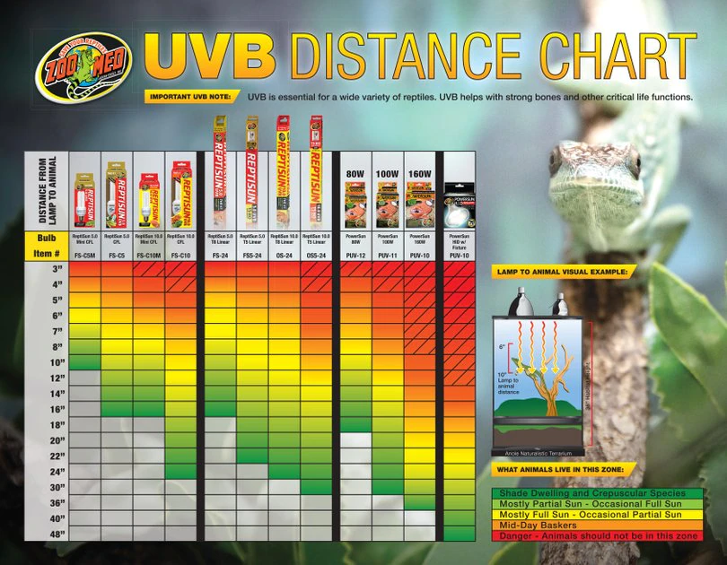 Zoo Med ReptiSun 5.0 UVB Compact Fluorescent Mini Reptile Lamp 2 Zoo Med ReptiSun 5.0 UVB Compact Fluorescent Mini Reptile Lamp - Image 2